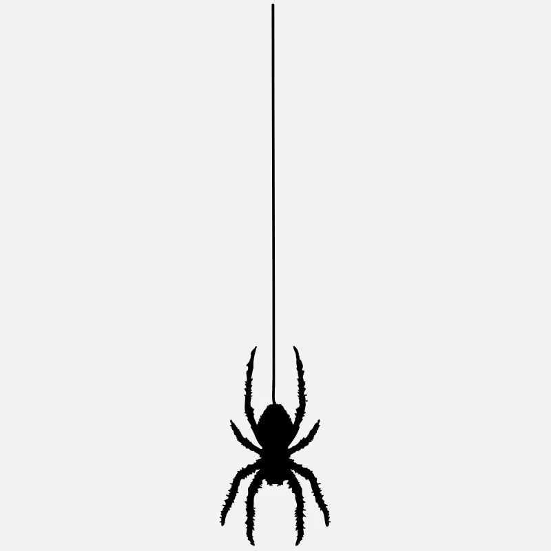 Spinne