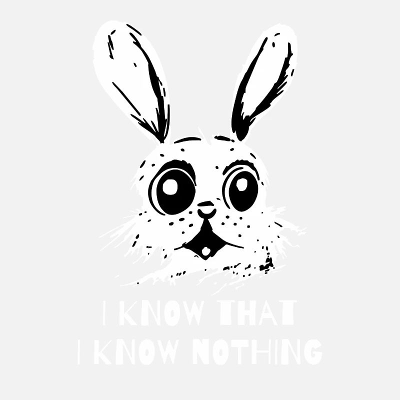 I Know That I Know Nothing - A Wise Rabbit
