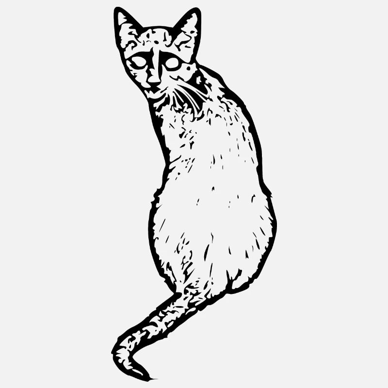 Cat black