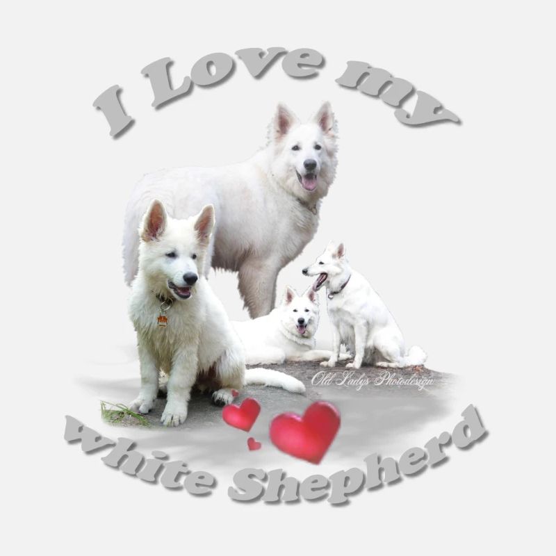 weißer Schäferhund