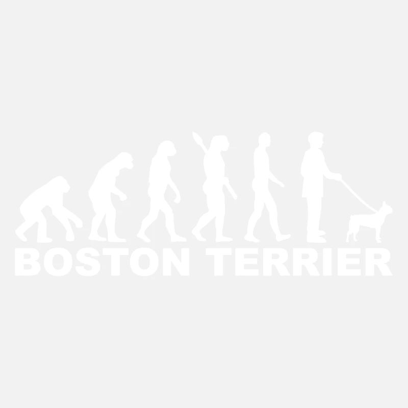 Boston Terrier