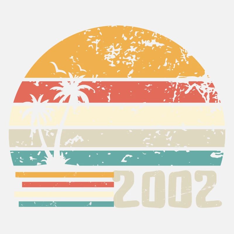 2002 Birthday Gift - Made in 2002 Retro 2002