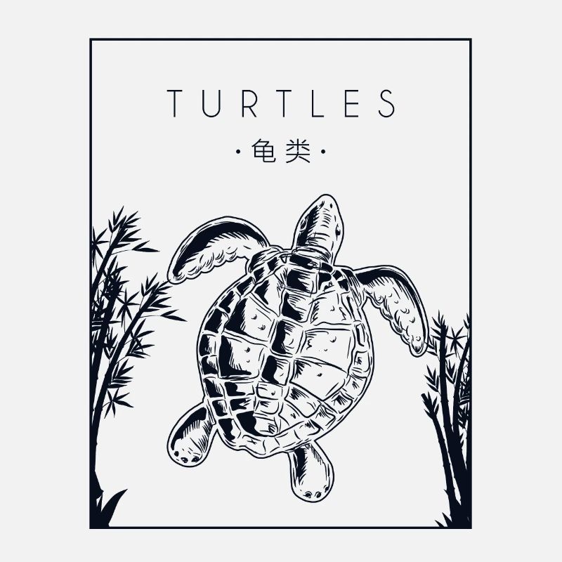 Turtles Chinese Hanzi Water Turtle