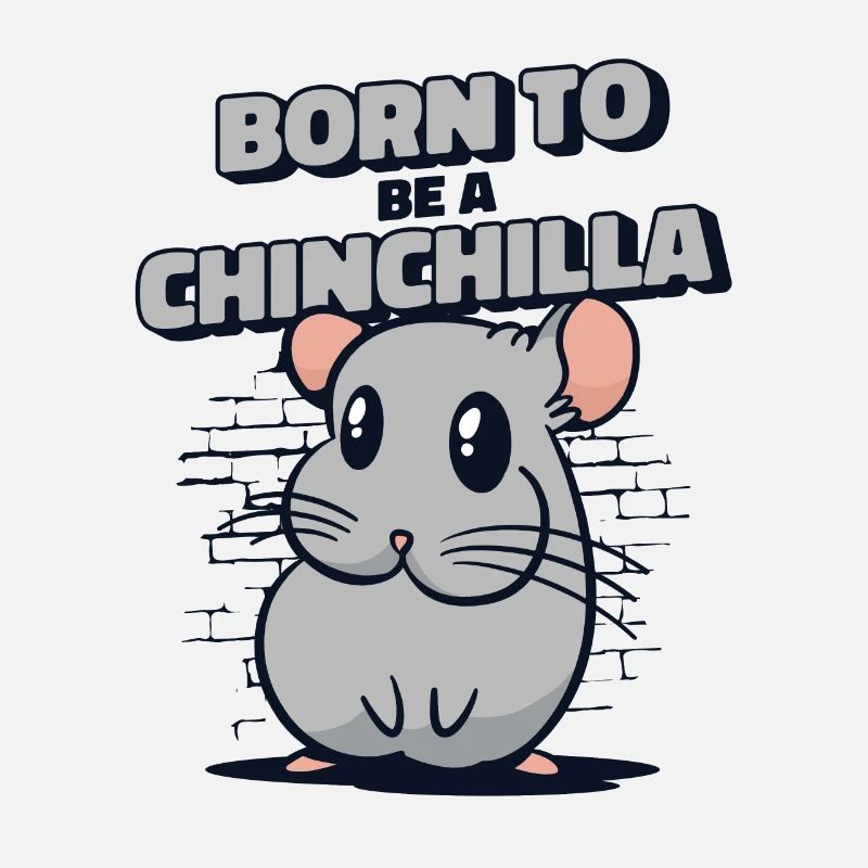 Né pour être un chinchilla à queue courte longue queue