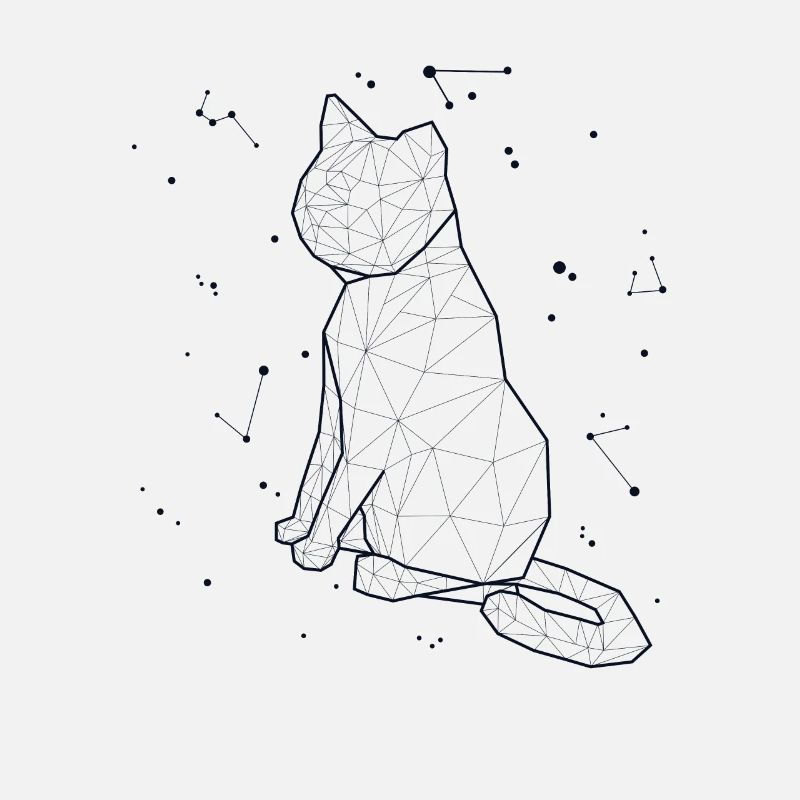 Constellation Cat Constellation Chaton Chat domestique