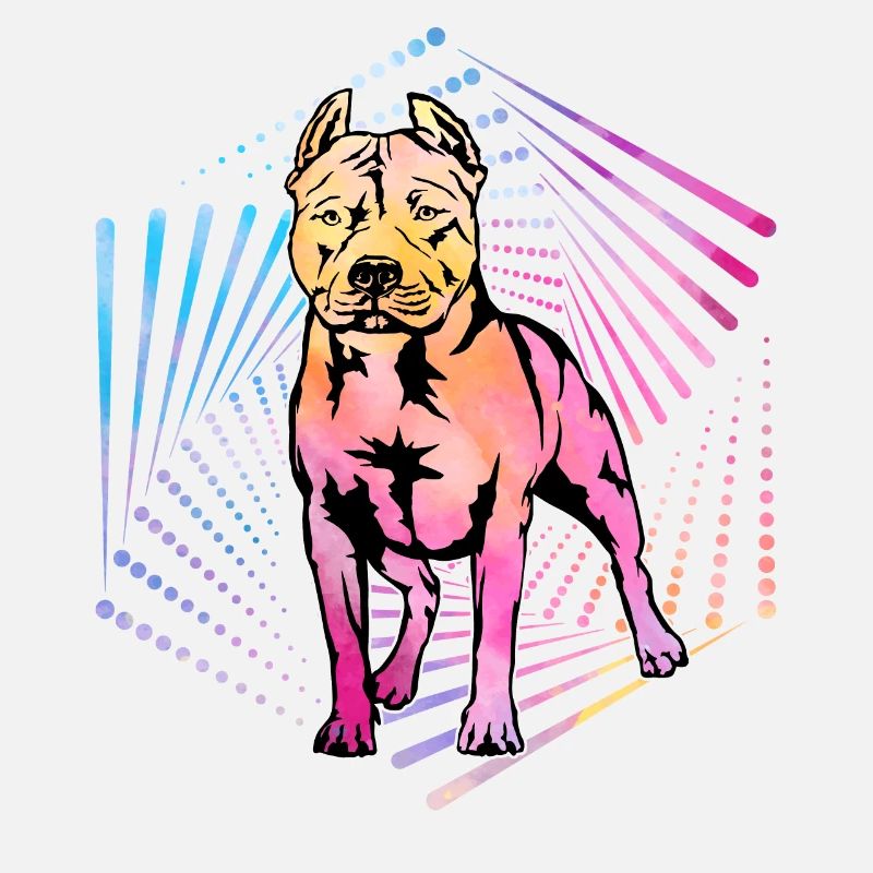 Pitbull Rétro
