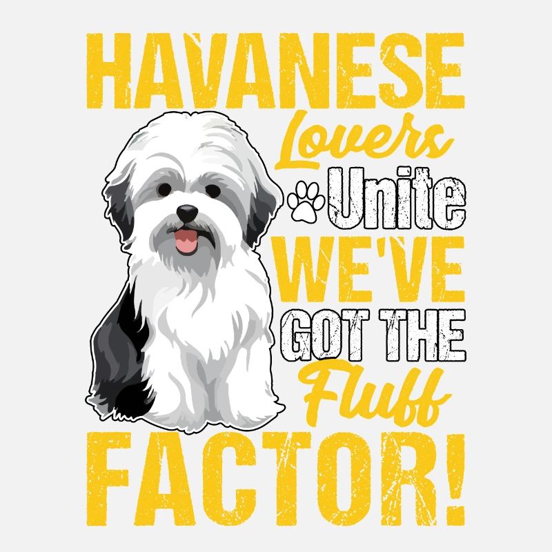 Havanese Lovers Unite we've got the fluff factor