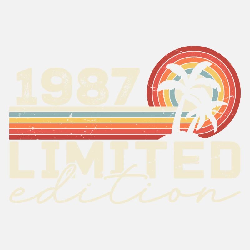 Vintage 1987 Birthday Gift 1987 Retro 1987