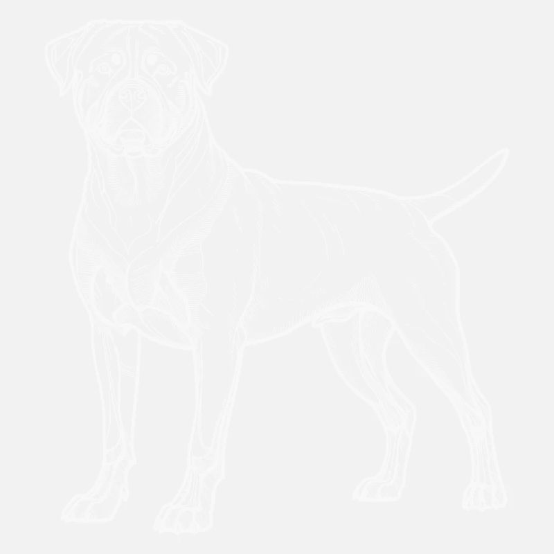 Rottweiler white lines