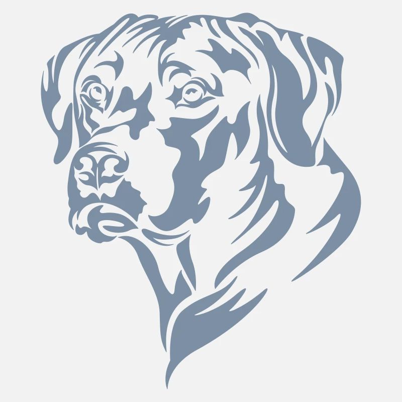Rhodesian Ridgeback weiß