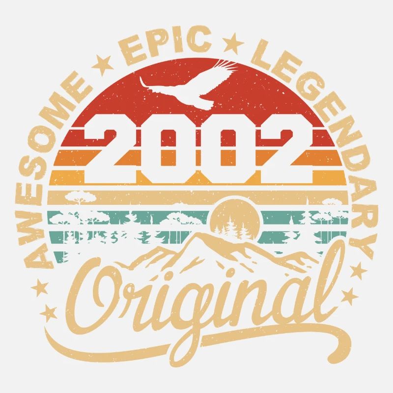 Original 2002 Retro 2002 Birthday Gift