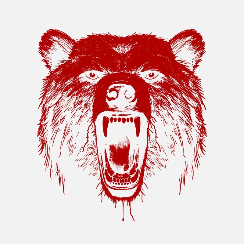 Bär Grizzlybär