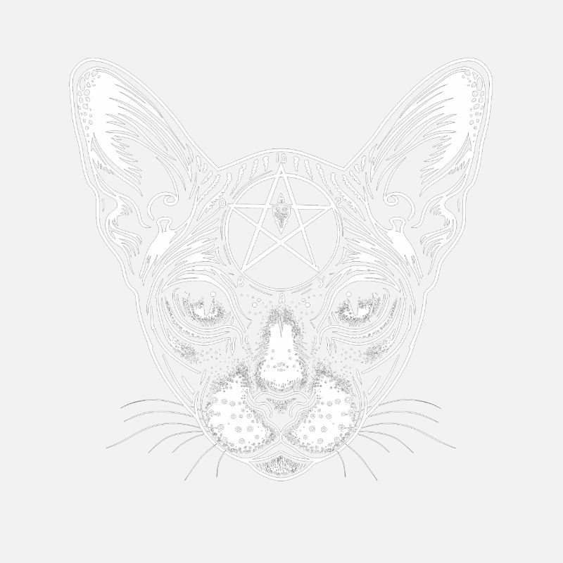 Cadeau chat Sphynx