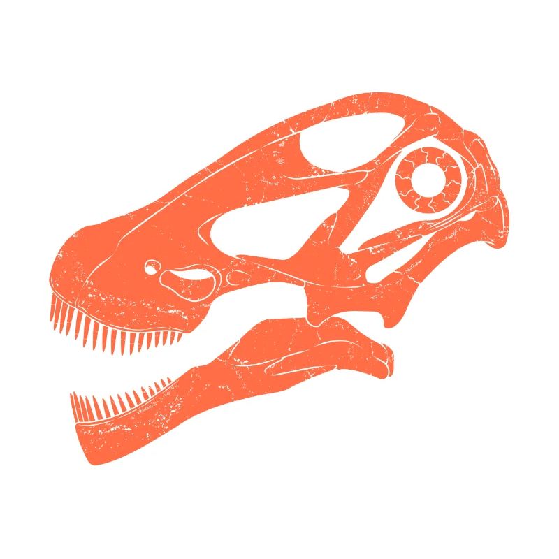 Argentinosaurus fossil skull