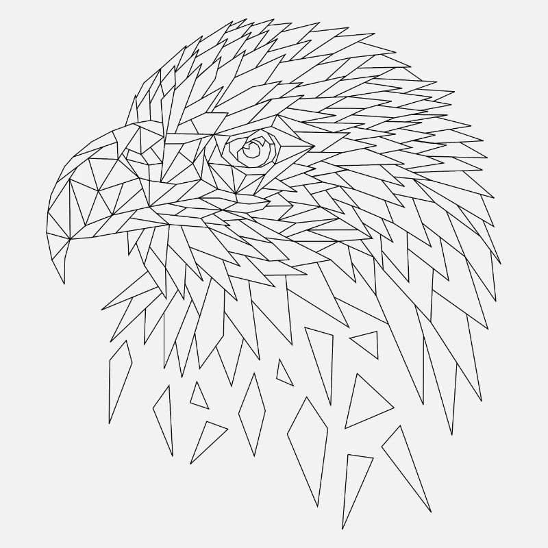 Sea eagle eagle polygons