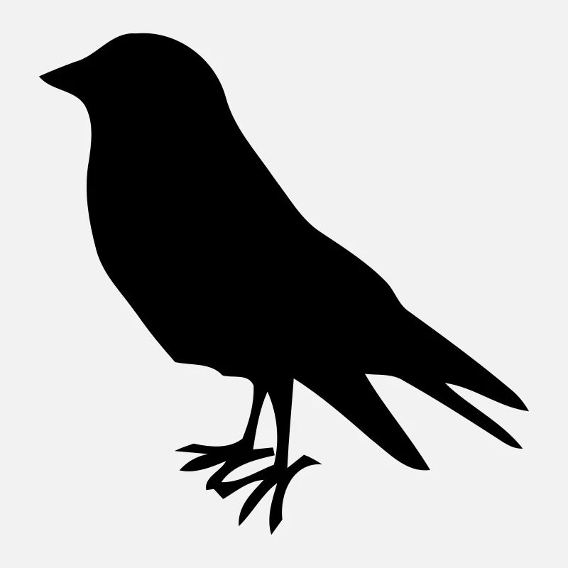 früher vogel bird vögel