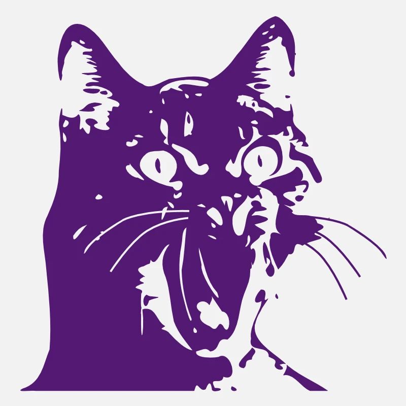 Katze OMG!
