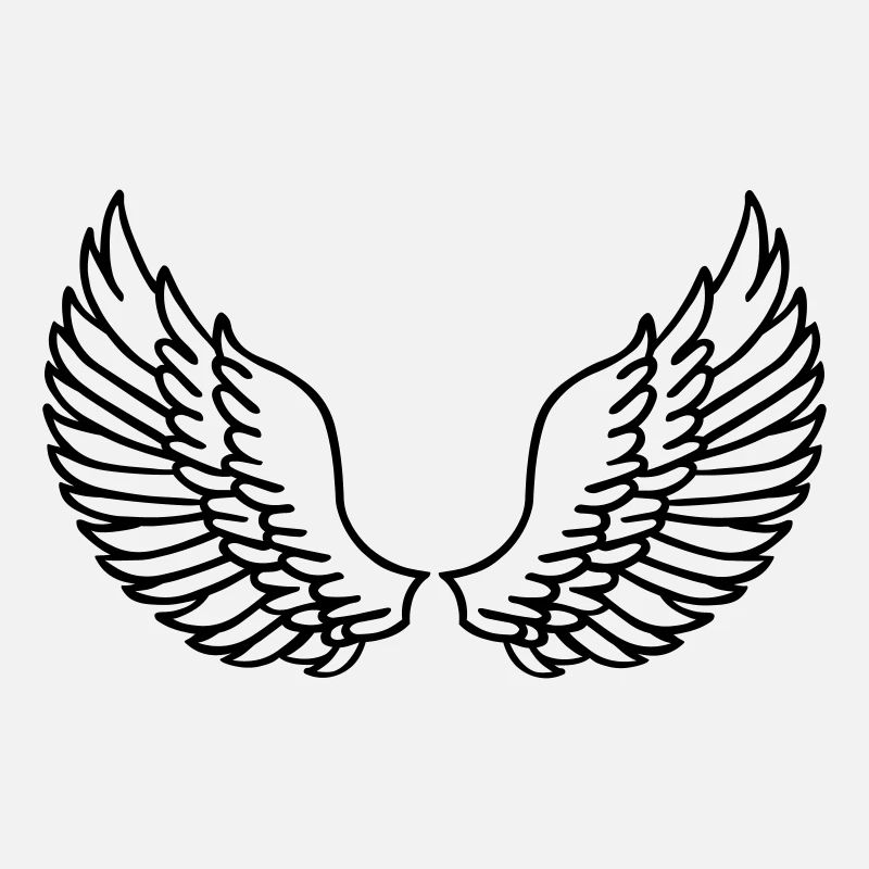 Les ailes