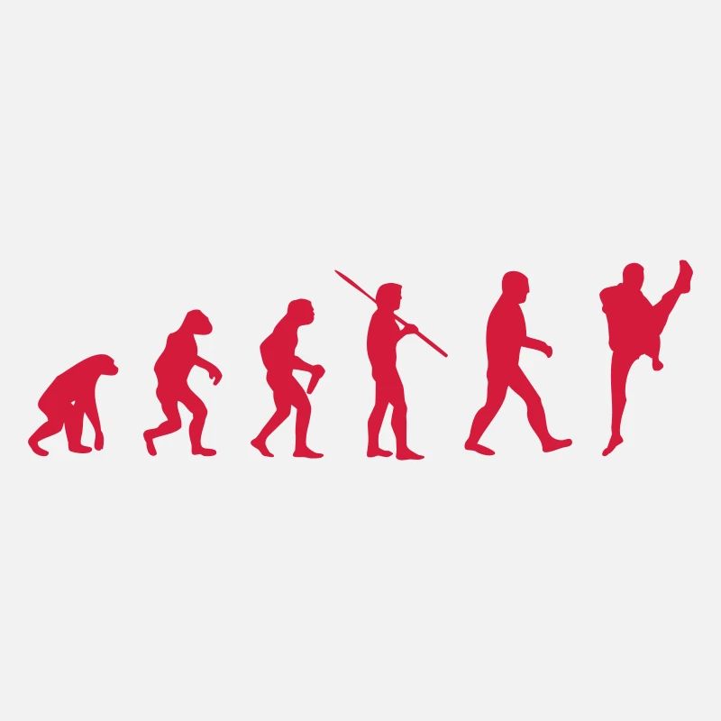 Kampfsport Evolution