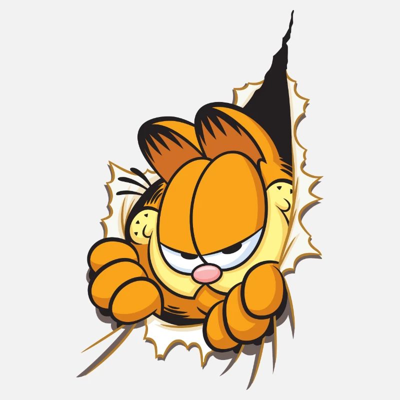 Garfield Voilà Garfield