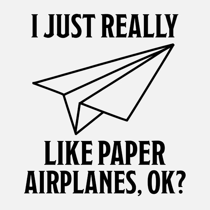 Papierflieger Spruch Witz Papierflugzeug Geschenk