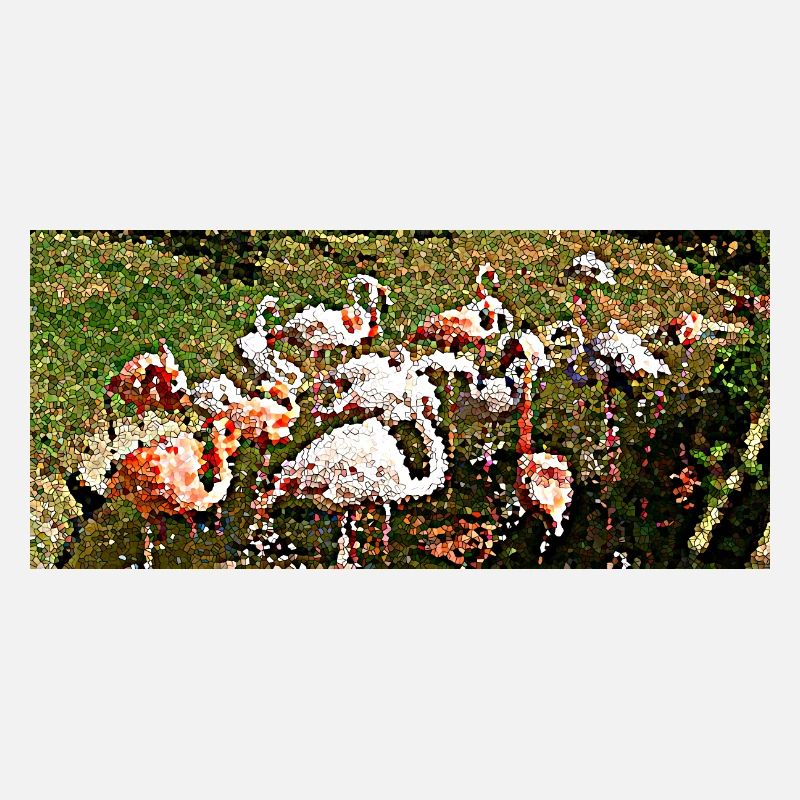 Flamingos