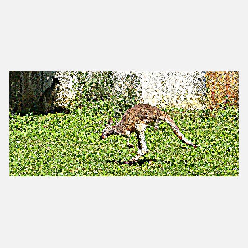 Der große Känguru-Sprung