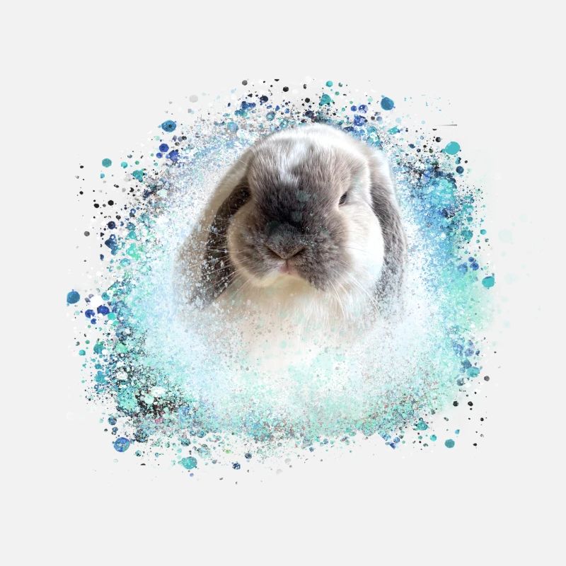 oreille floppy, lapin, graffiti, rose, lapin