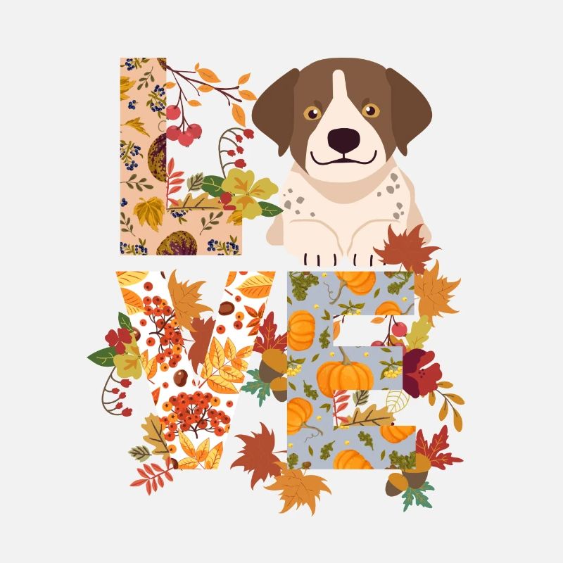 Pointer Chien Automne Gratitude Amour