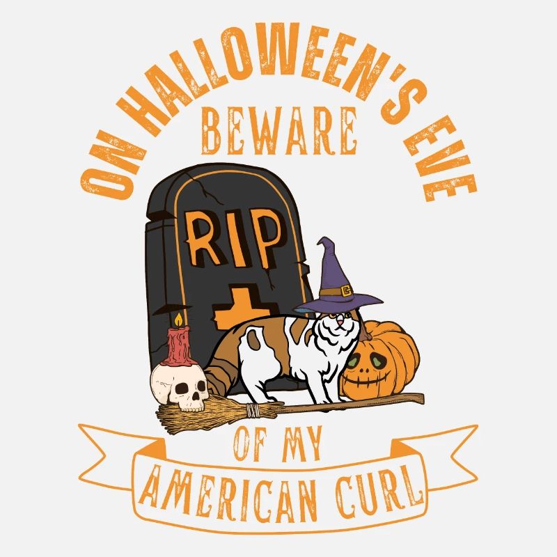Mignon et effrayant American Curl chat d’Halloween