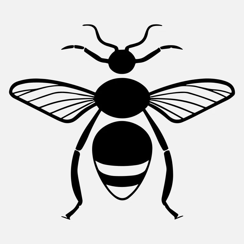Insecte puce