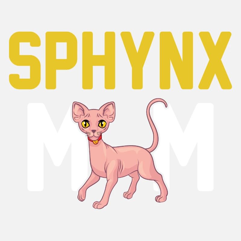 Sphynx Cat 2