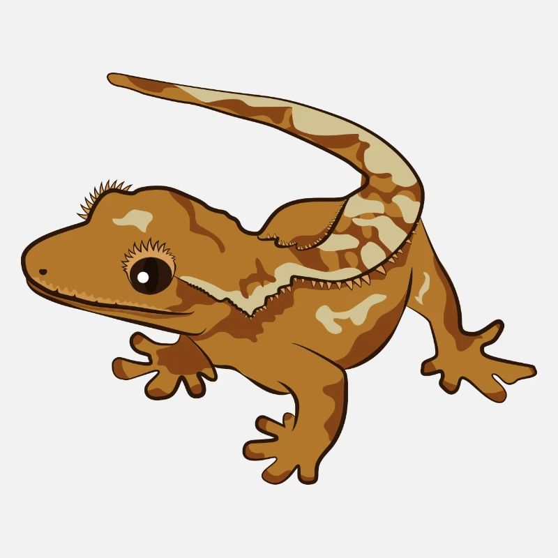 Kronengecko Eidechse Reptil Herpetologe