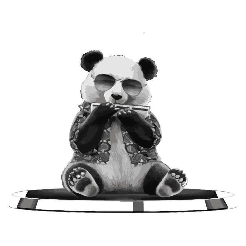 Cadeau de jeu d’harmonica Panda