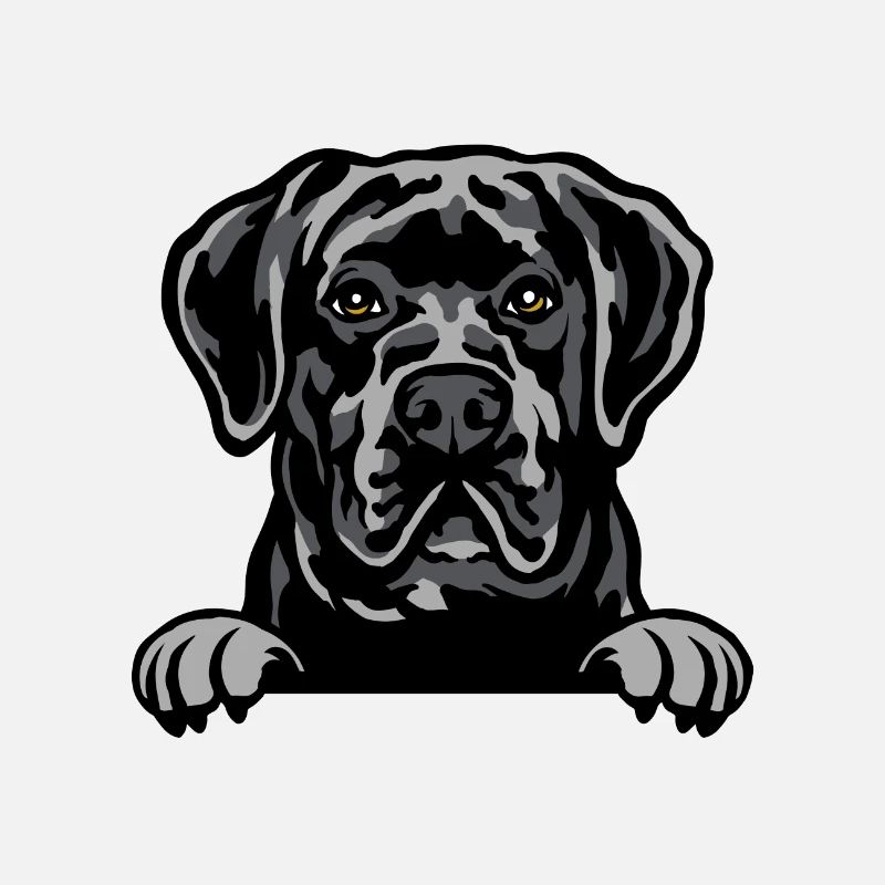 Cane Corso dog