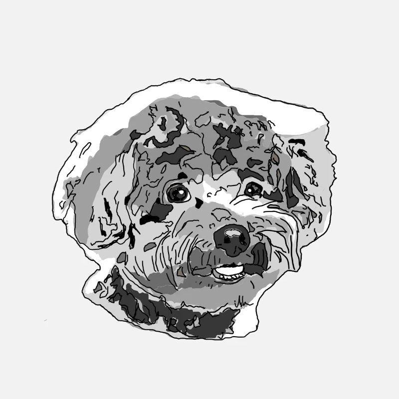 Caniche