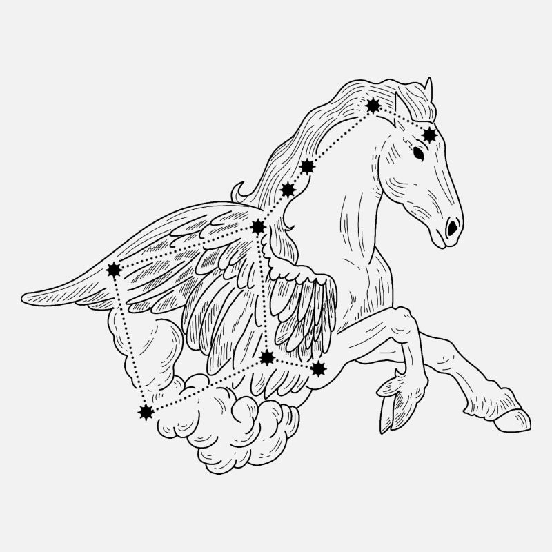 Constellation