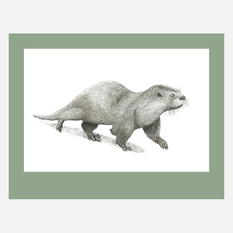 230909 Otter 3