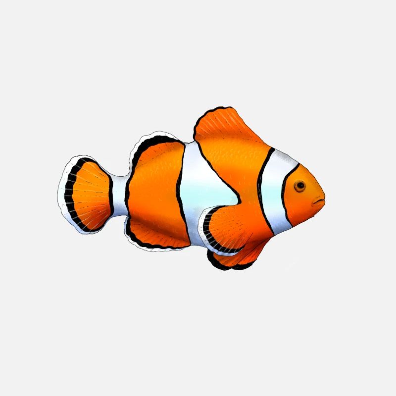 PAYASO-FISCH