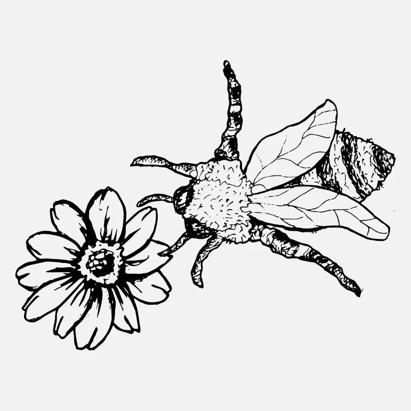 Bee Wasp Bumblebee Beekeeper Nature Conservation Environment Organic