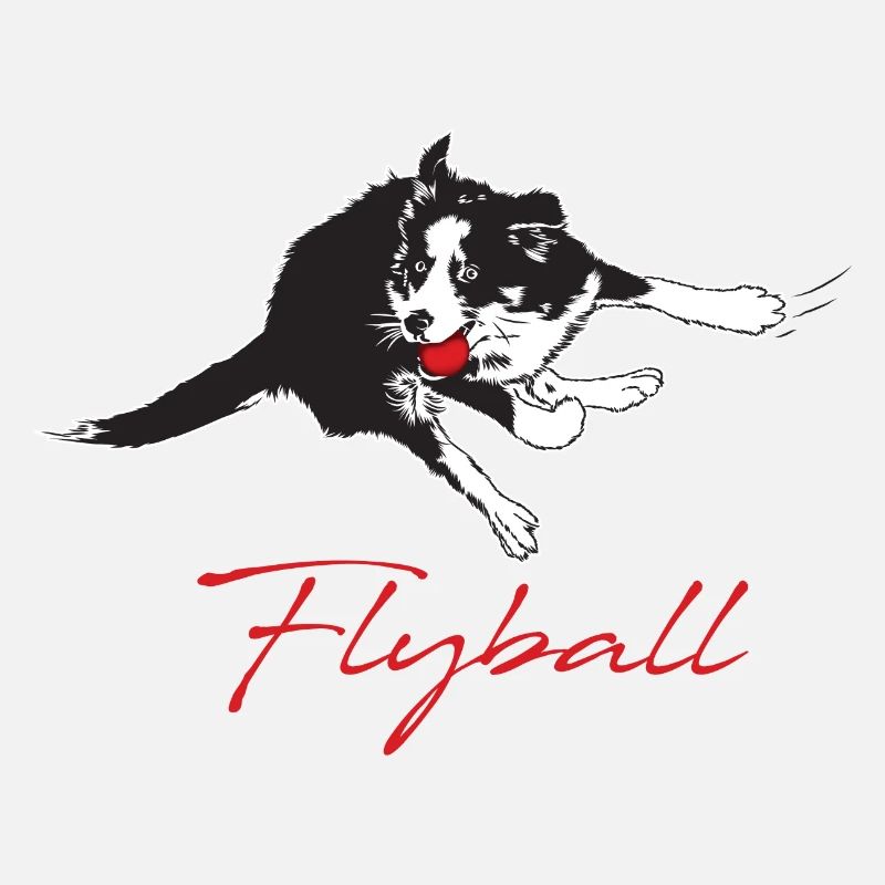 Flyball