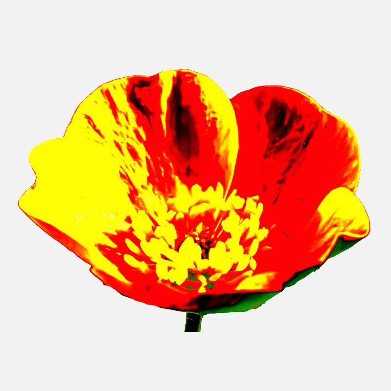 Flower, A731178 1