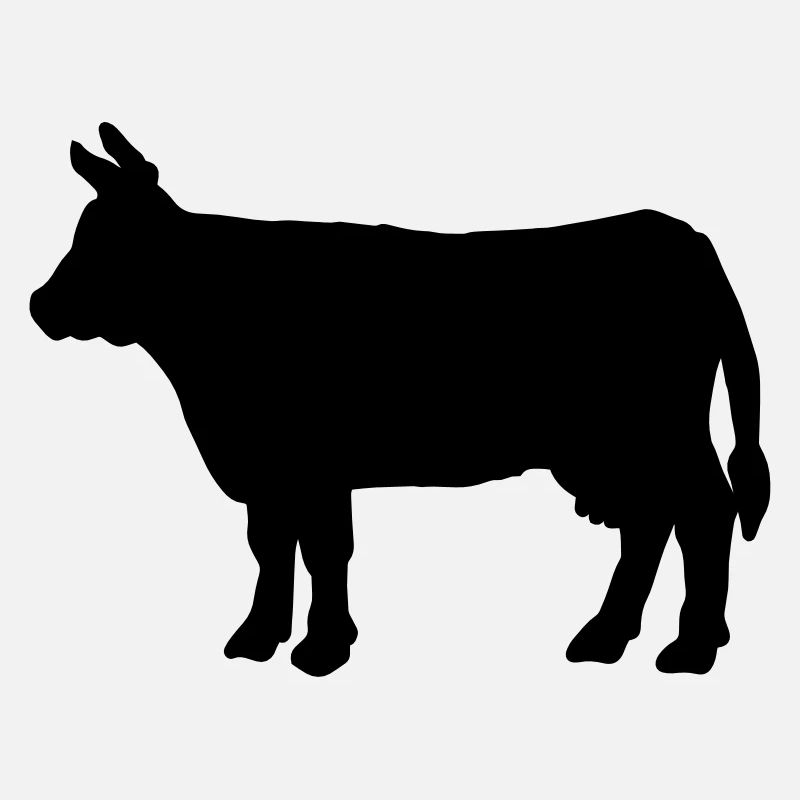 Beef cow animal