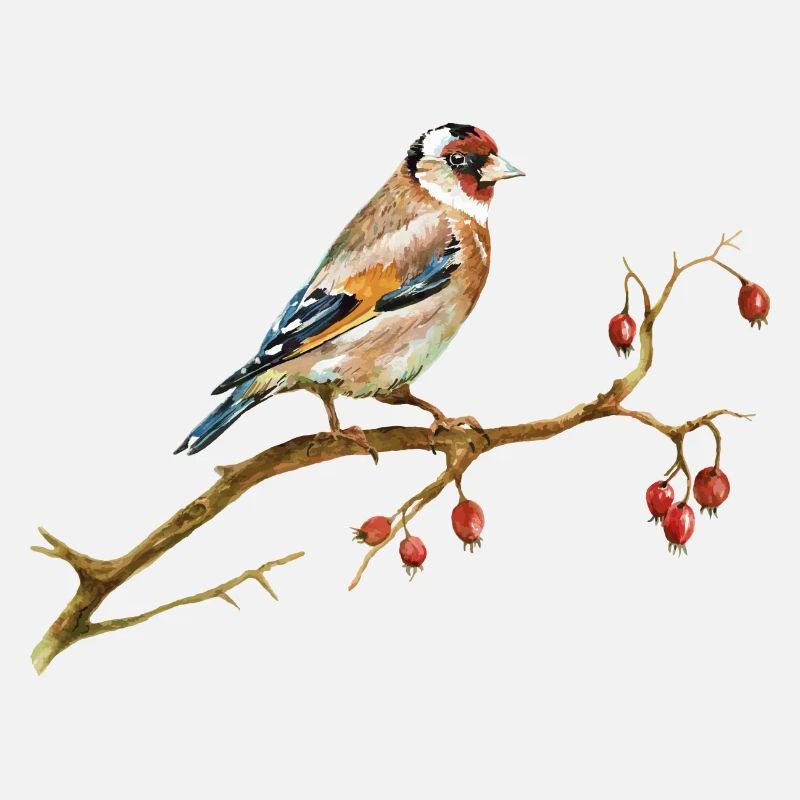 bird