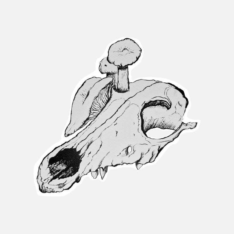 Shroom Skull Sticker Version Transparent