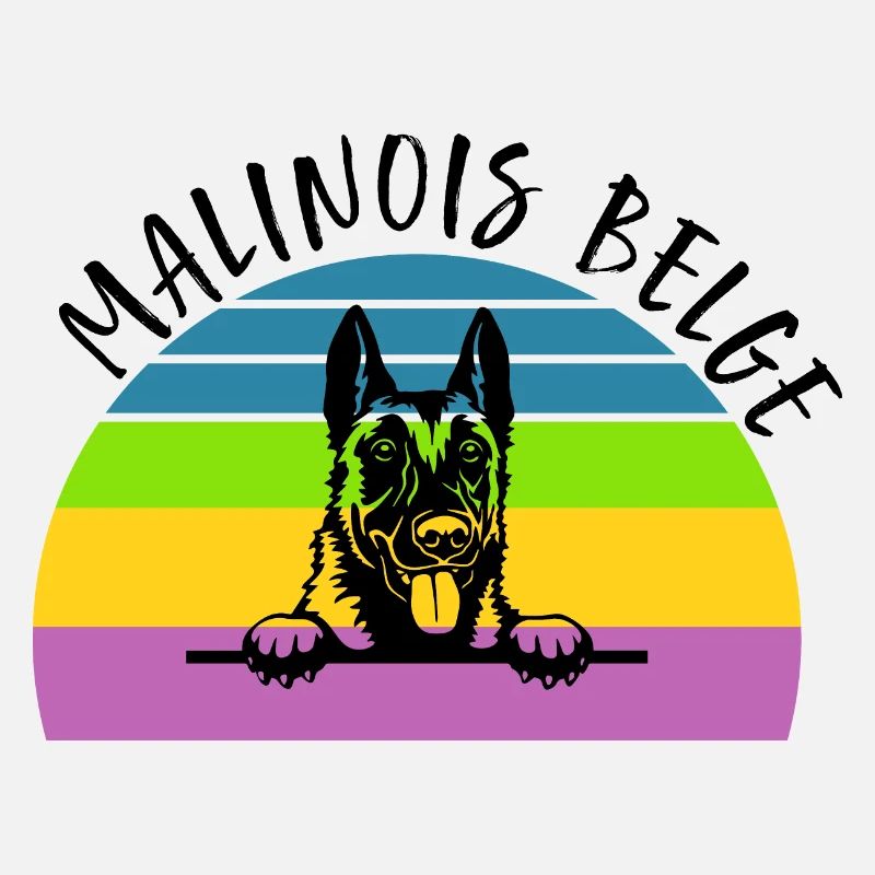 Belgian Malinois Belgian Malinois