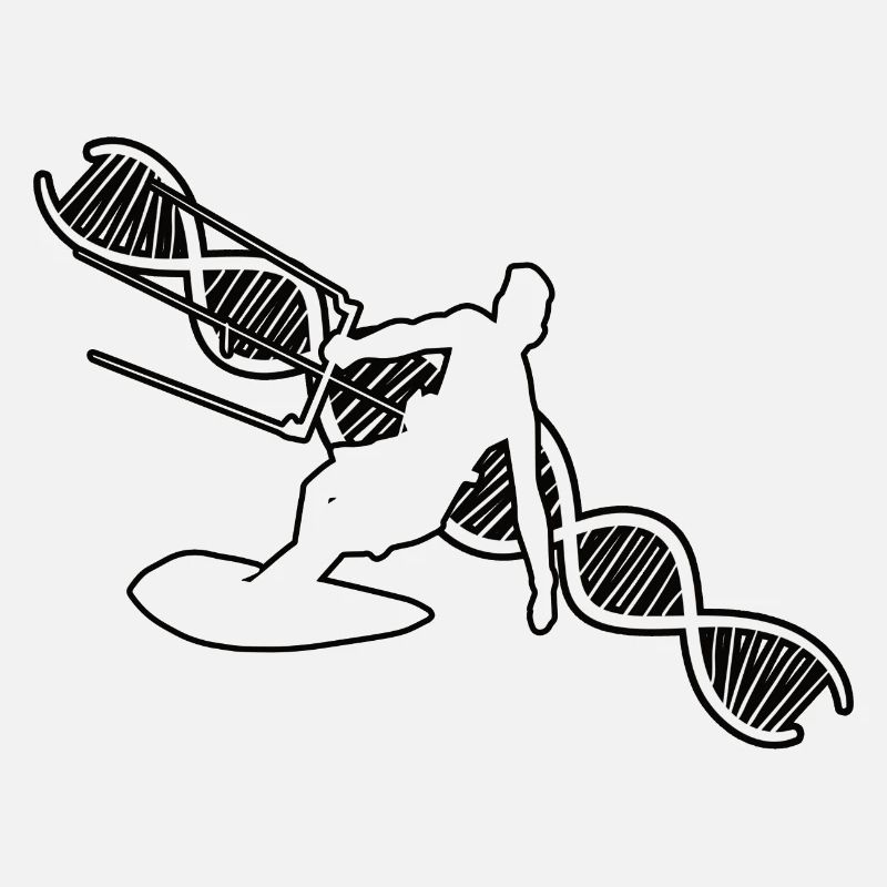Kitesurfer Kitesurfing Windsurfer Windsurfing