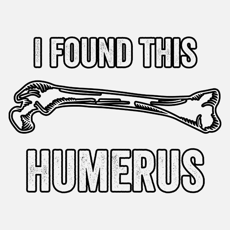 I found this humerus