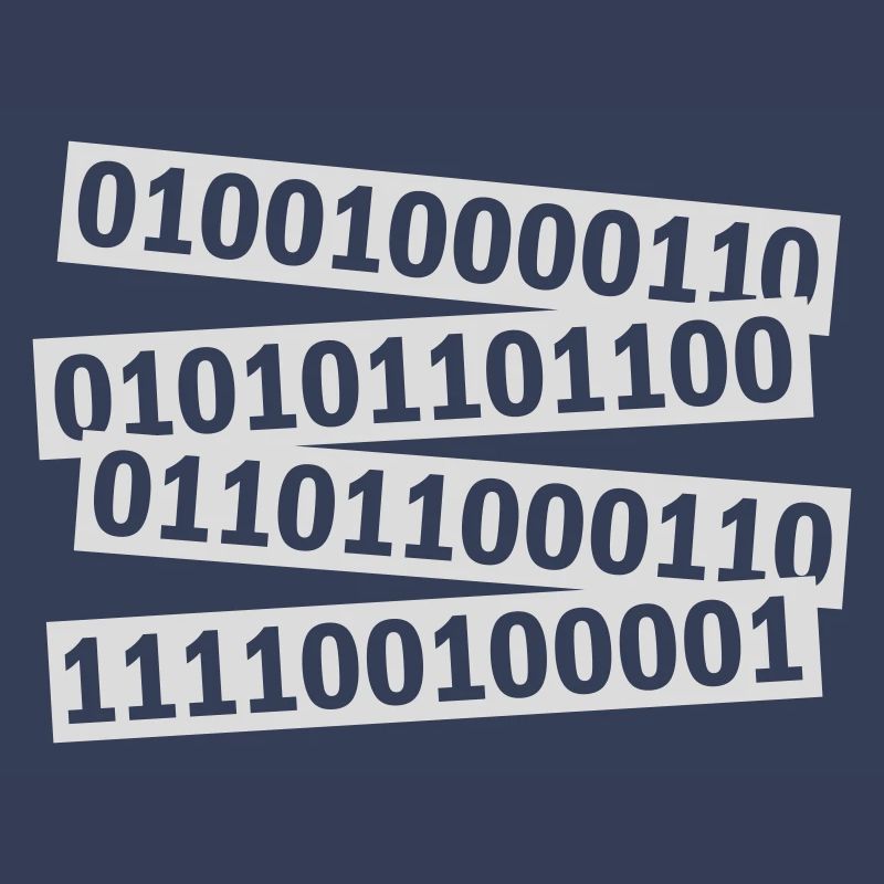 Binary Code Program Language