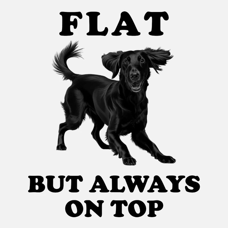 My funny Flat coated Retriever